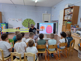 Кандидат - лиса Кандидат - лиса.